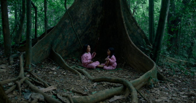 Cảnh trong phim tài liệu Chân trời rực rỡ. Ảnh: Ban tổ chức cung cấp