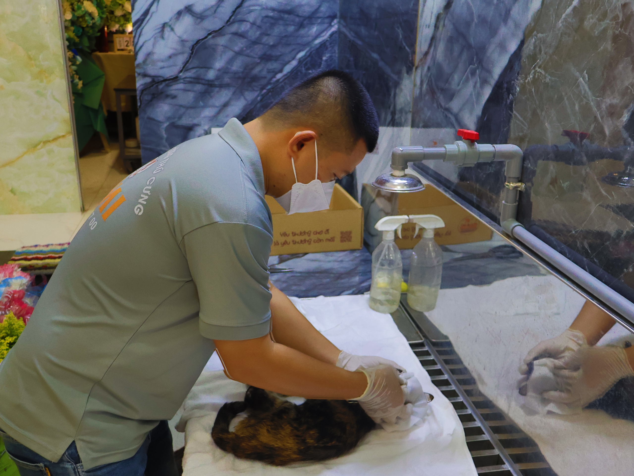 Hỏa táng thú cưng: Sự 'lạnh lùng' cần thiết của anh Quý- Ảnh 2. Hỏa táng thú cưng: Sự 'lạnh lùng' cần thiết của anh Quý- Ảnh 2.