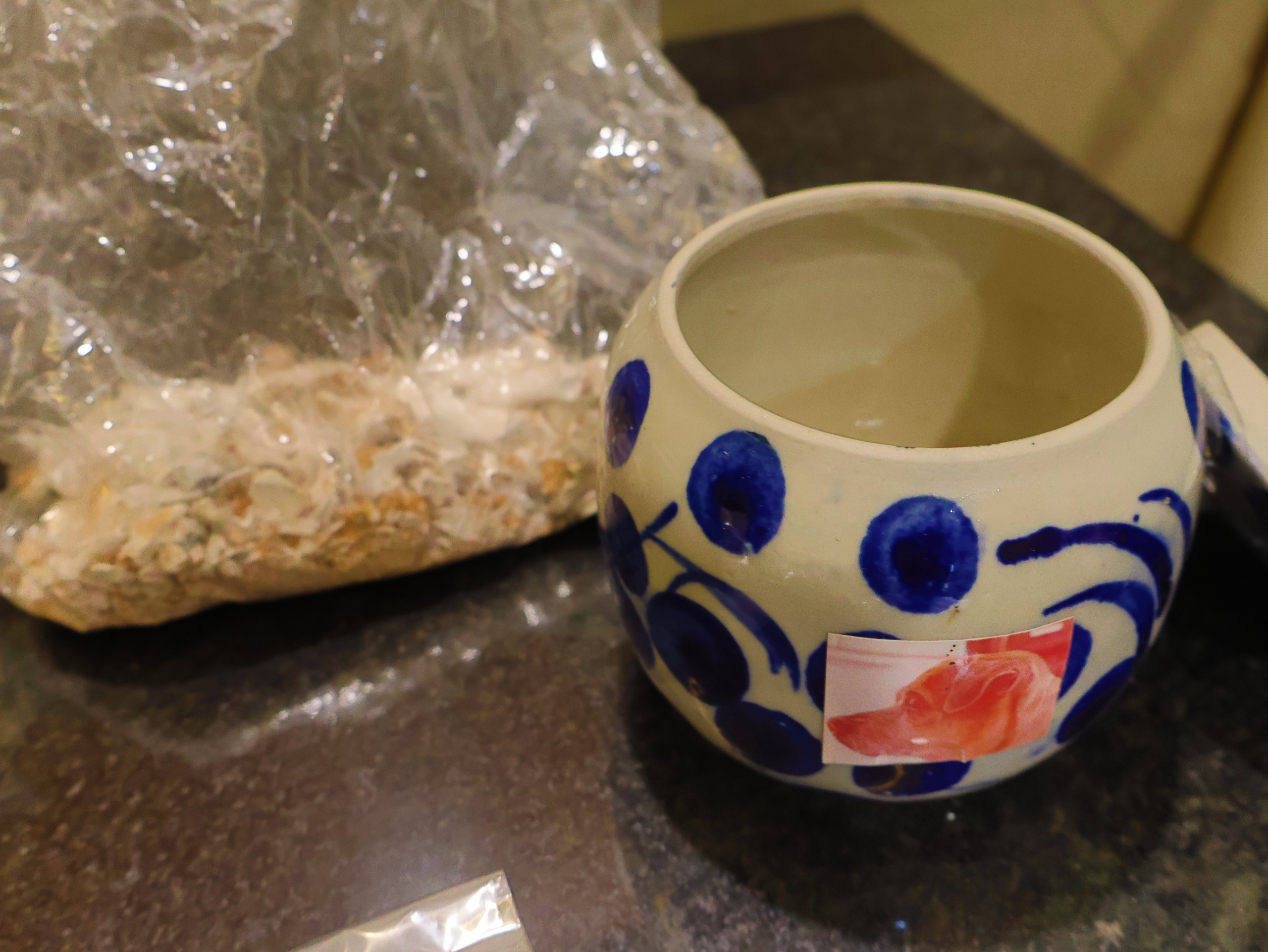 Hỏa táng thú cưng: Sự 'lạnh lùng' cần thiết của anh Quý- Ảnh 6. Hỏa táng thú cưng: Sự 'lạnh lùng' cần thiết của anh Quý- Ảnh 6.