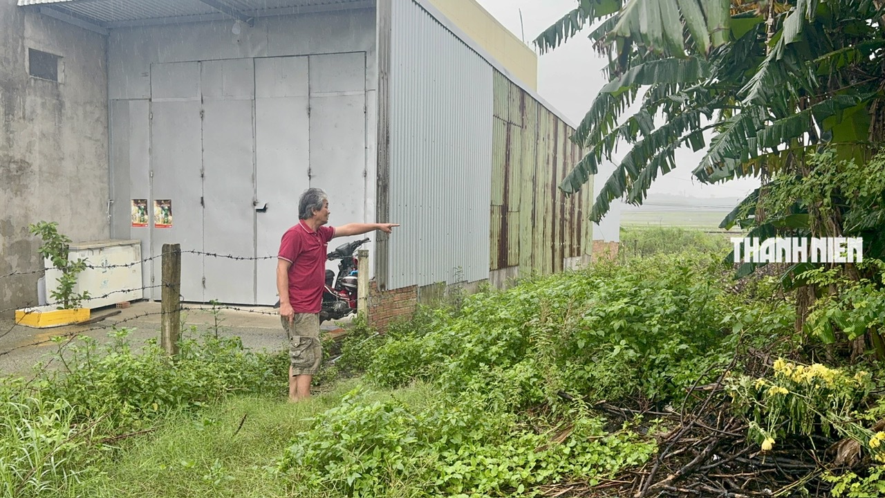 Trúng đấu giá nhưng 18 năm không thấy đất: ‘Soi’ góc độ quản lý, pháp lý- Ảnh 2. Trúng đấu giá nhưng 18 năm không thấy đất: ‘Soi’ góc độ quản lý, pháp lý- Ảnh 2.