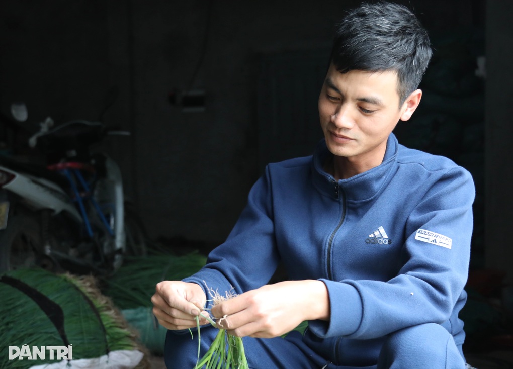 Sự thật làng ở Hà Nội có tên đường Cà Chua, Ớt Chuông, Tía Tô gây sốt - 2