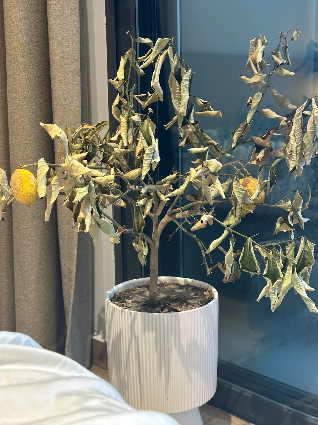 Dọn dẹp nhà cửa để đón may mắn và tránh những vật cản trong cuộc sống - Ảnh 2. Dọn dẹp nhà cửa để đón may mắn và tránh những vật cản trong cuộc sống - Ảnh 2.