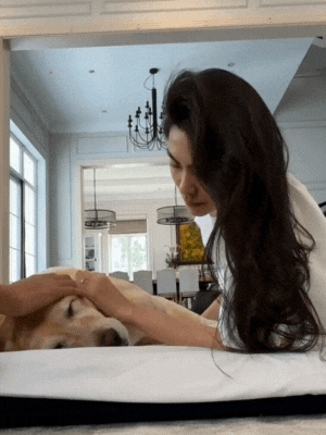 Chia buồn cùng Tăng Thanh Hà- Ảnh 2. Chia buồn cùng Tăng Thanh Hà- Ảnh 2.