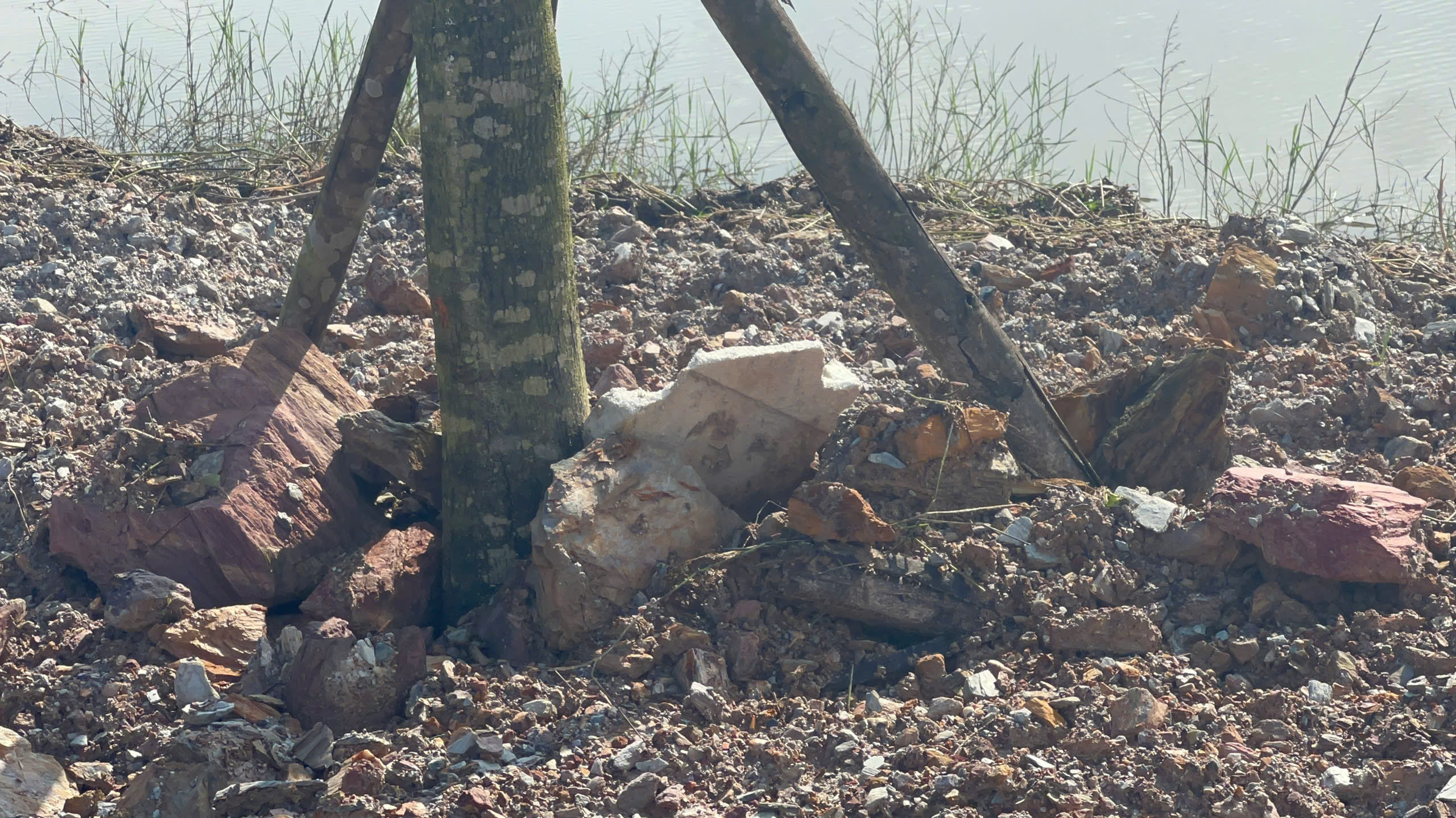 Nhà thầu sử dụng vật liệu lạ tại TP Huế: Khắc phục hậu quả ra sao? - Ảnh 2. Nhà thầu sử dụng vật liệu lạ tại TP Huế: Khắc phục hậu quả ra sao? - Ảnh 2.