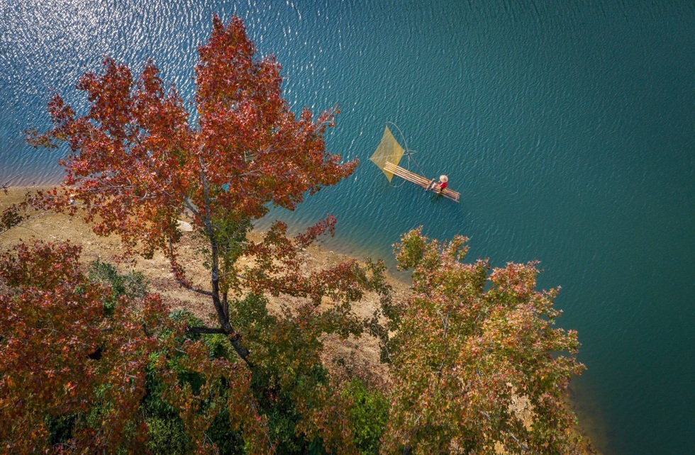 Rừng cây lá đỏ nhuộm màu hồ nhân tạo tại Cao Bằng như ở châu Âu - 4