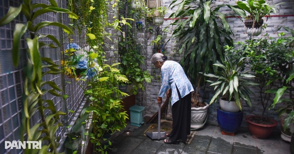 Nghệ sĩ Phi Điểu nhập viện cấp cứu ở tuổi 92, sức khỏe hiện ra sao? - 2