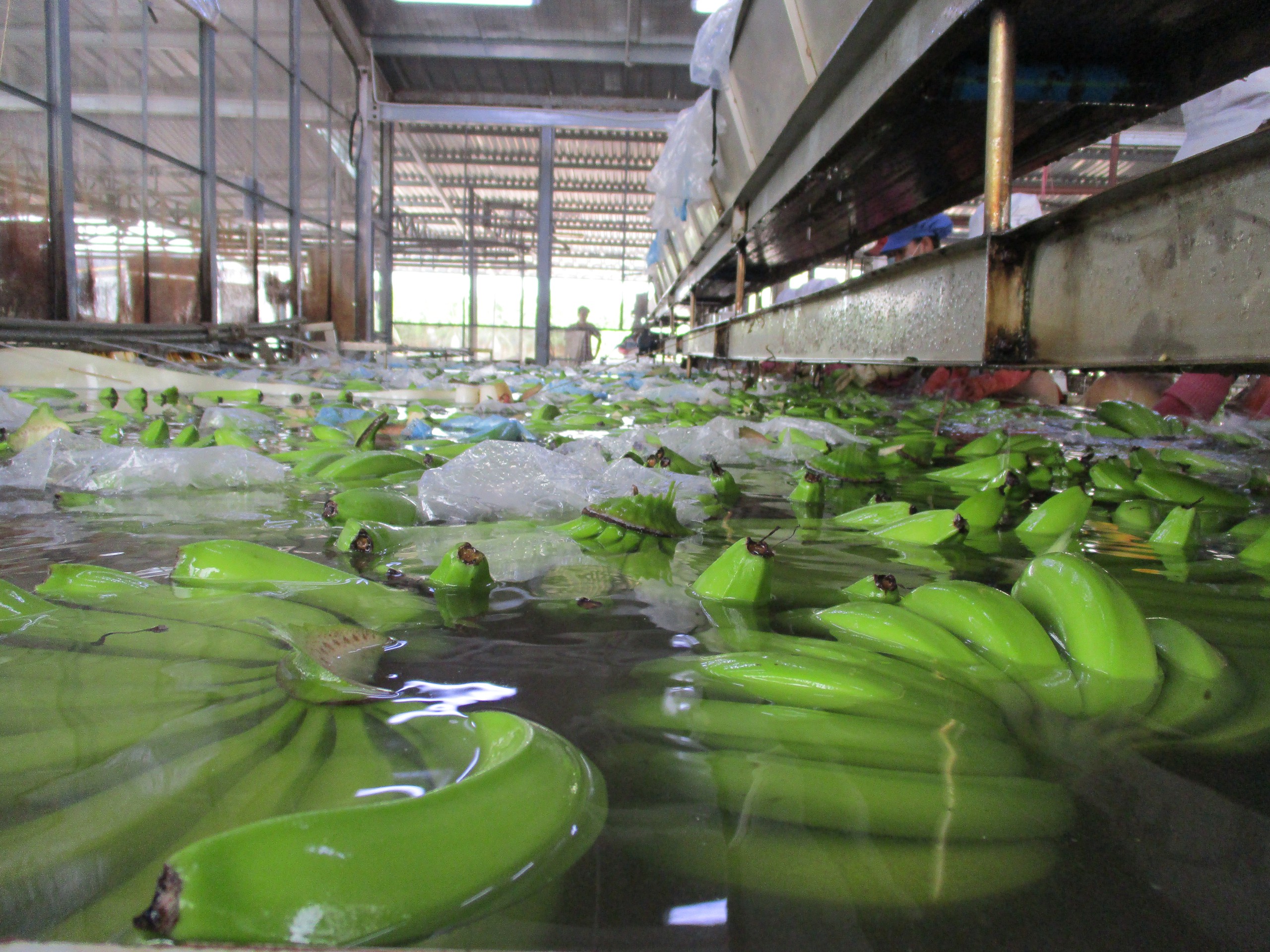 Dấu ấn công trình trọng điểm trong chiến lược phát triển bền vững của VRG 4 Dấu ấn công trình trọng điểm trong chiến lược phát triển bền vững của VRG - Ảnh 4.