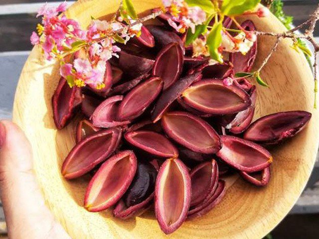 Loại quả bắt đầu vào mùa, vừa hỗ trợ phát triển chiều cao, lại vừa bảo vệ gan, chế biến thành nhiều món ngon 3 Loại quả bắt đầu vào mùa, vừa hỗ trợ phát triển chiều cao, lại vừa bảo vệ gan, chế biến thành nhiều món ngon - 2