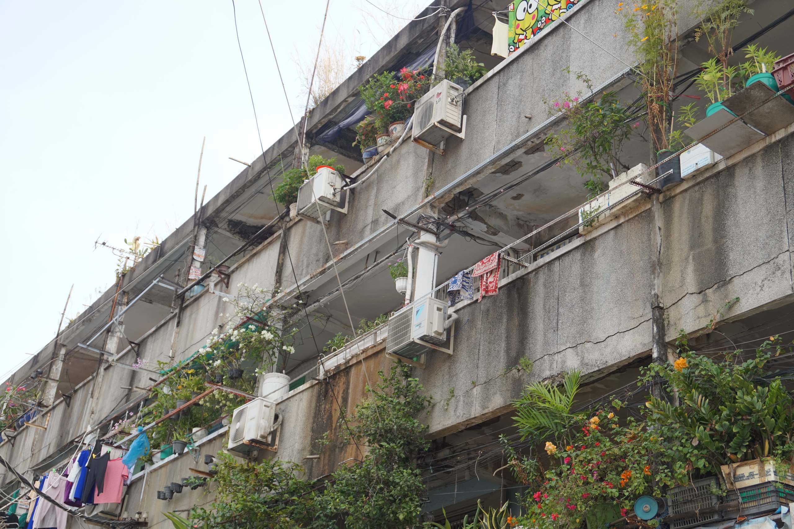 Bảo tàng sống giữa lòng TP HCM và thực trạng chung cư cấp D - Ảnh 5. Bảo tàng sống giữa lòng TP HCM và thực trạng chung cư cấp D - Ảnh 5.