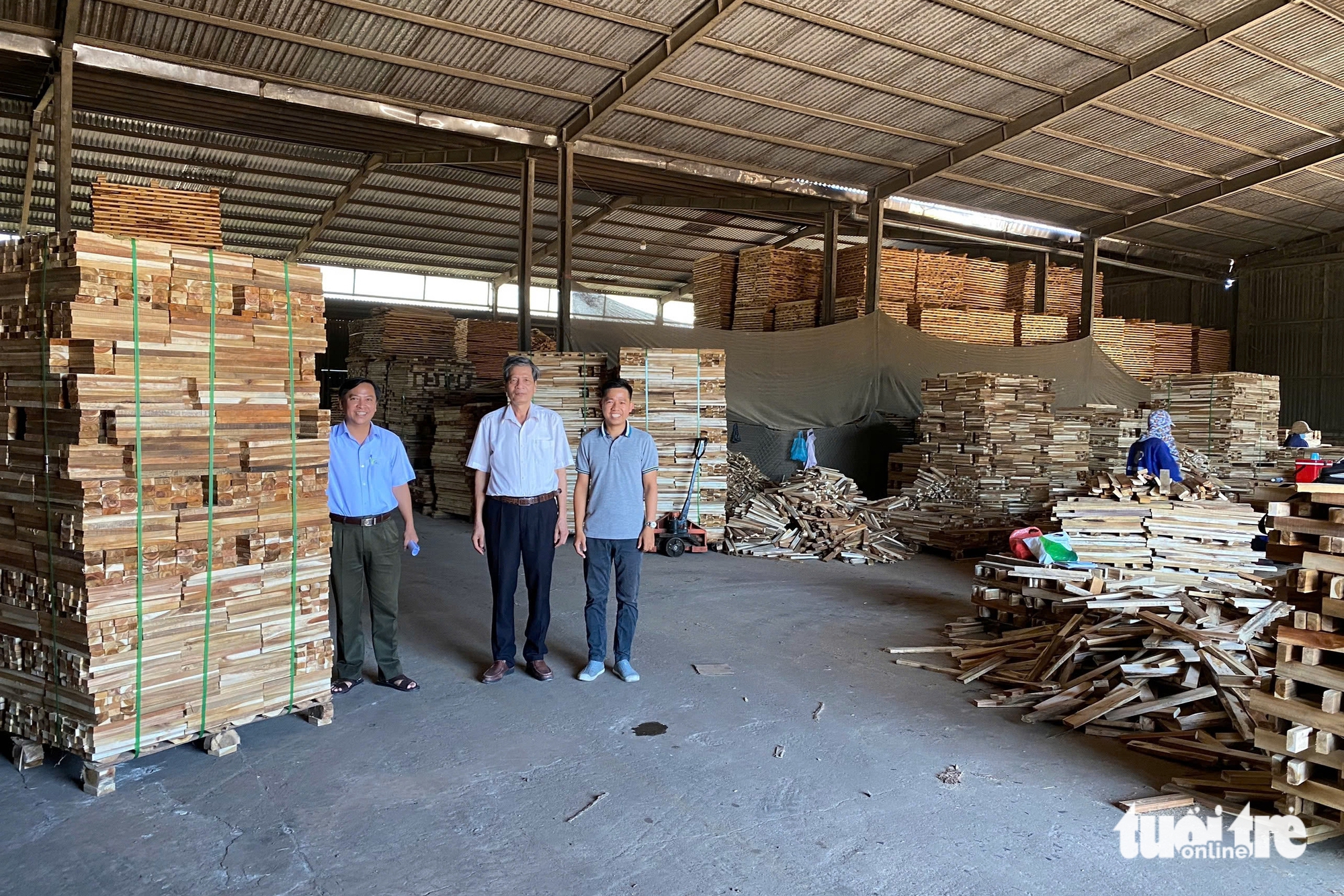 Đưa rừng trồng gỗ lớn Quảng Trị đi châu Âu 3 rừng bền vững - Ảnh 3.