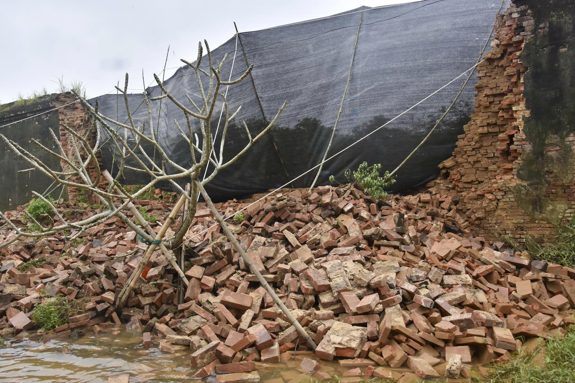 Lệnh khẩn cấp ban hành, Hoàng thành Huế phải sửa ngay trong 45 ngày- Ảnh 2. Lệnh khẩn cấp ban hành, Hoàng thành Huế phải sửa ngay trong 45 ngày- Ảnh 2.