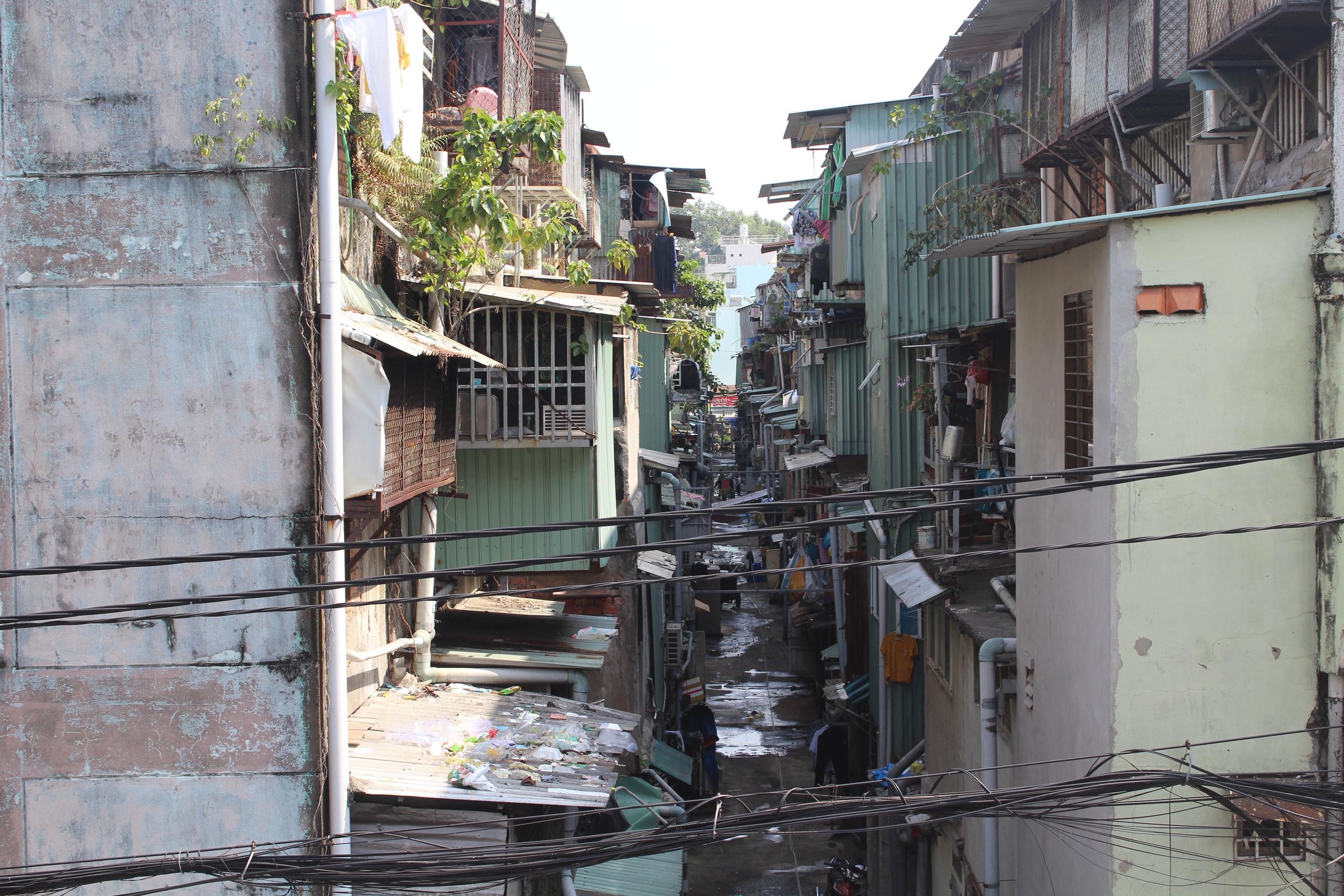 Phân công công tác lãnh đạo UBND TPHCM; truy nã người rửa tiền 3 Thông tin nổi bật tại TPHCM ngày 18-12: - Ảnh 3.