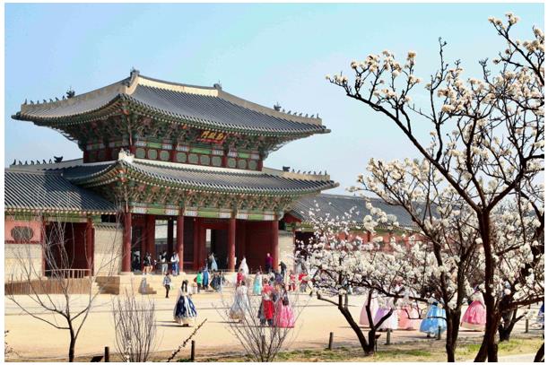 Study Tour Hàn Quốc trở thành xu hướng ‘du lịch’ mới của giới trẻ 3 Study Tour - Ảnh 3.