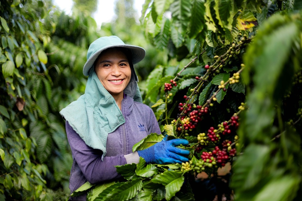 Kinh tế tuần hoàn là động lực chuyển đổi xanh - 2