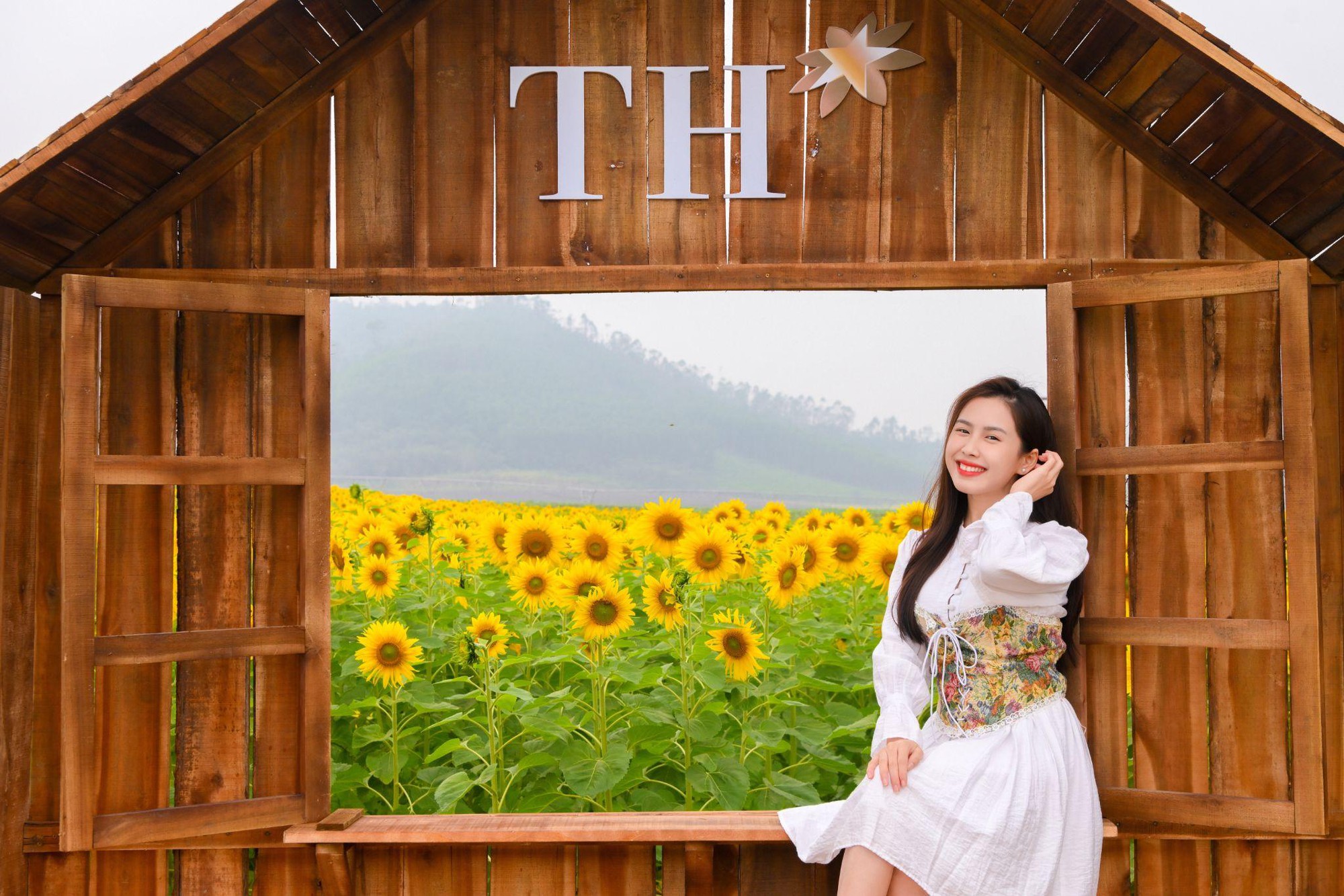 Cánh đồng hướng dương tại miền Tây Nghệ An: Toạ độ check-in bùng nổ cho hội chị em những ngày cuối năm- Ảnh 4. Cánh đồng hướng dương tại miền Tây Nghệ An: Toạ độ check-in bùng nổ cho hội chị em những ngày cuối năm- Ảnh 4.