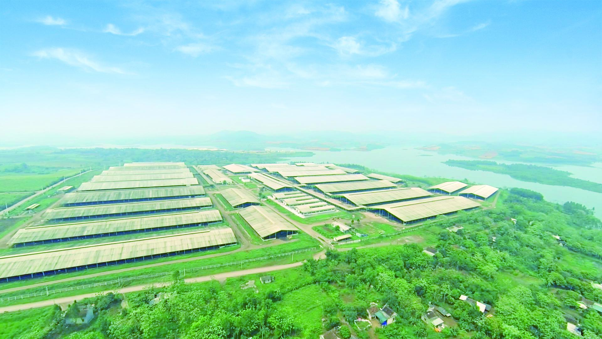 Cánh đồng hướng dương tại miền Tây Nghệ An: Toạ độ check-in bùng nổ cho hội chị em những ngày cuối năm- Ảnh 11. Cánh đồng hướng dương tại miền Tây Nghệ An: Toạ độ check-in bùng nổ cho hội chị em những ngày cuối năm- Ảnh 11.