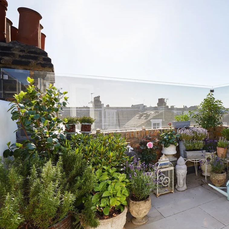 Trồng cây ban công kỵ nhất 5 sai lầm này: Tiếc là nhiều gia chủ chẳng mấy quan tâm- Ảnh 3.