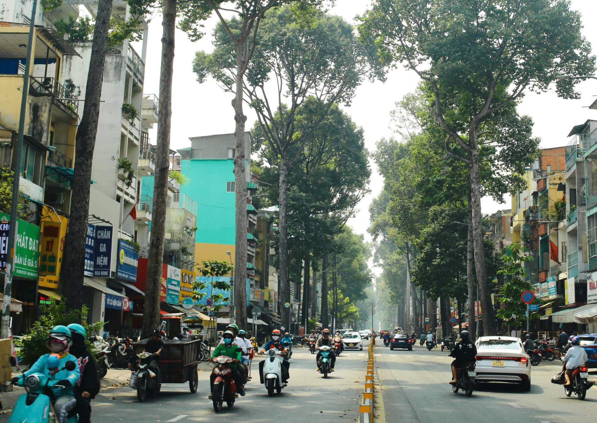 TP.HCM: sẽ có thêm nhiều công viên, quyết tâm tăng mảng xanh cho người dân 2 mảng xanh - Ảnh 2.