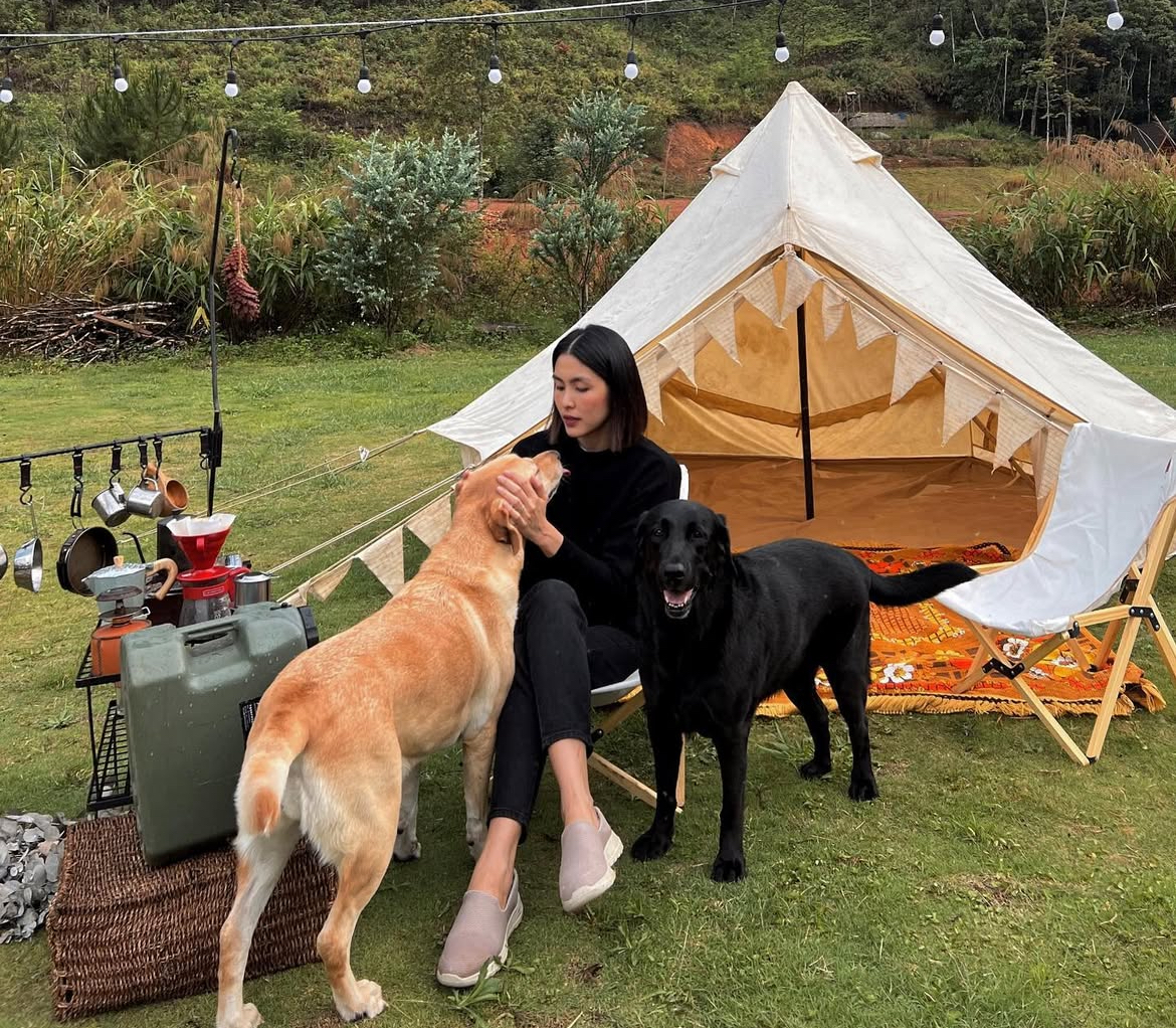 1766071251 482 Chia buon cung Tang Thanh Ha