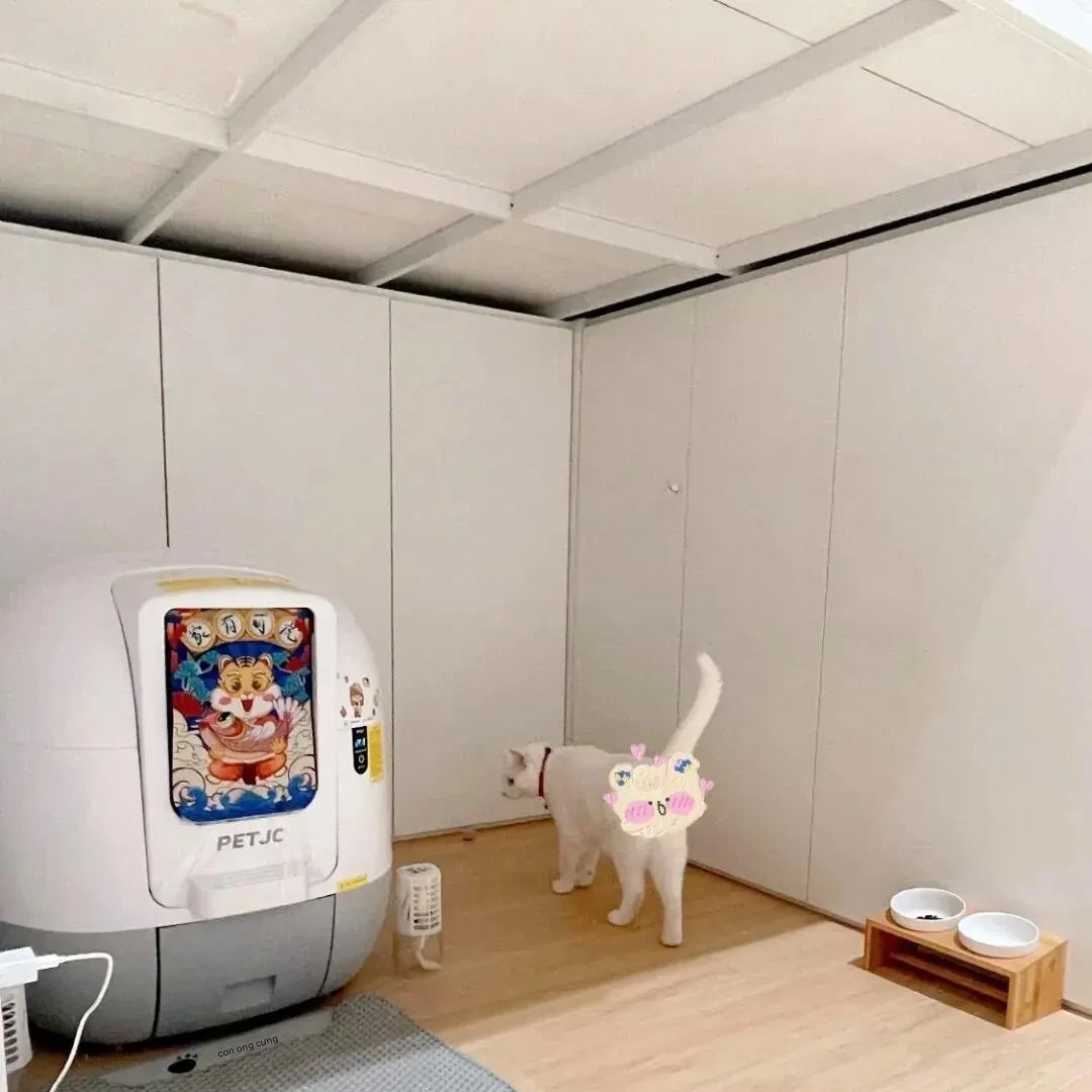 Căn nhà 18m² khiến ai nhìn cũng nể: Gọn đến khó tin, sách giáo khoa xin thua cuộc- Ảnh 5. Căn nhà 18m² khiến ai nhìn cũng nể: Gọn đến khó tin, sách giáo khoa xin thua cuộc- Ảnh 5.