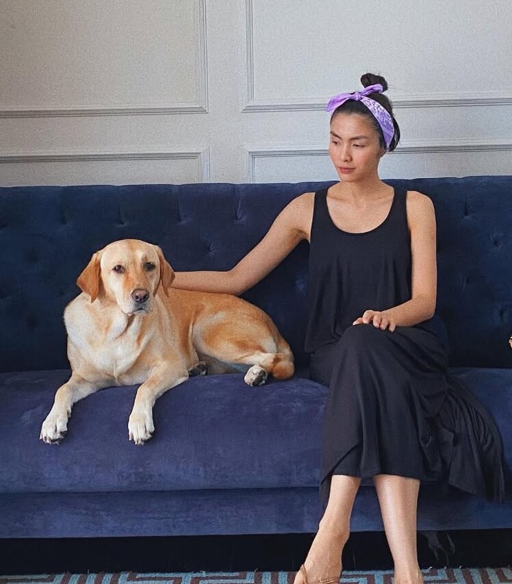 Tăng Thanh Hà bật khóc tạm biệt chú chó cưng sau 13 năm nuôi dưỡng, Lệ Quyên gửi lời chia buồn 2 Tăng Thanh Hà thông báo chú chó Molly đã mất.