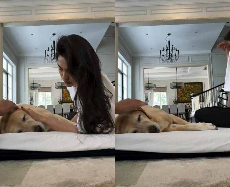 Tăng Thanh Hà bật khóc tạm biệt chú chó cưng sau 13 năm nuôi dưỡng, Lệ Quyên gửi lời chia buồn 3 Tăng Thanh Hà nghẹn ngào bật khóc khi ngồi cạnh chó cưng.