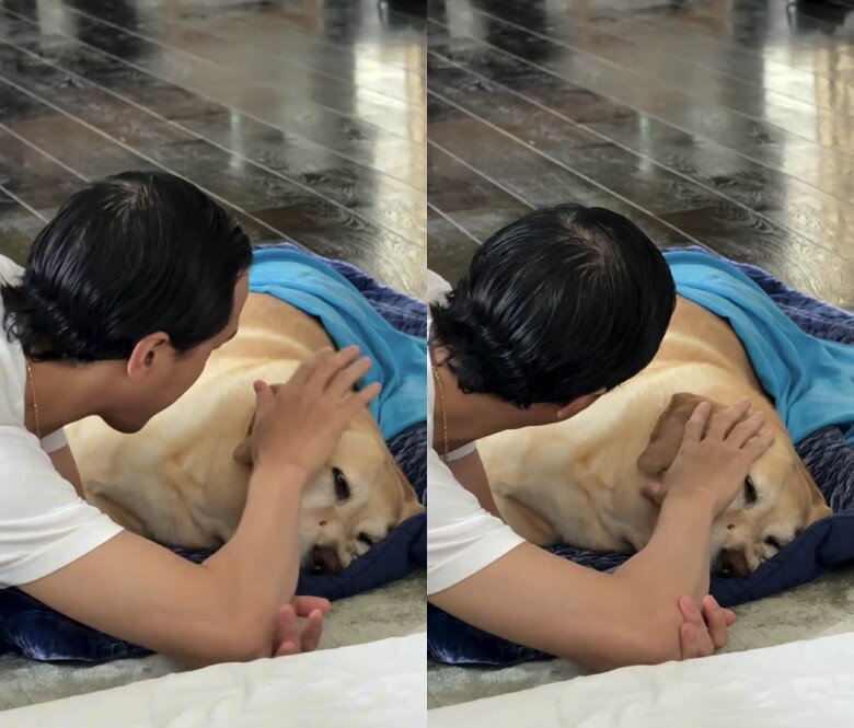 Tăng Thanh Hà bật khóc tạm biệt chú chó cưng sau 13 năm nuôi dưỡng, Lệ Quyên gửi lời chia buồn 4 Doanh nhân Louis Nguyễn vuốt ve tiễn biệt Molly.