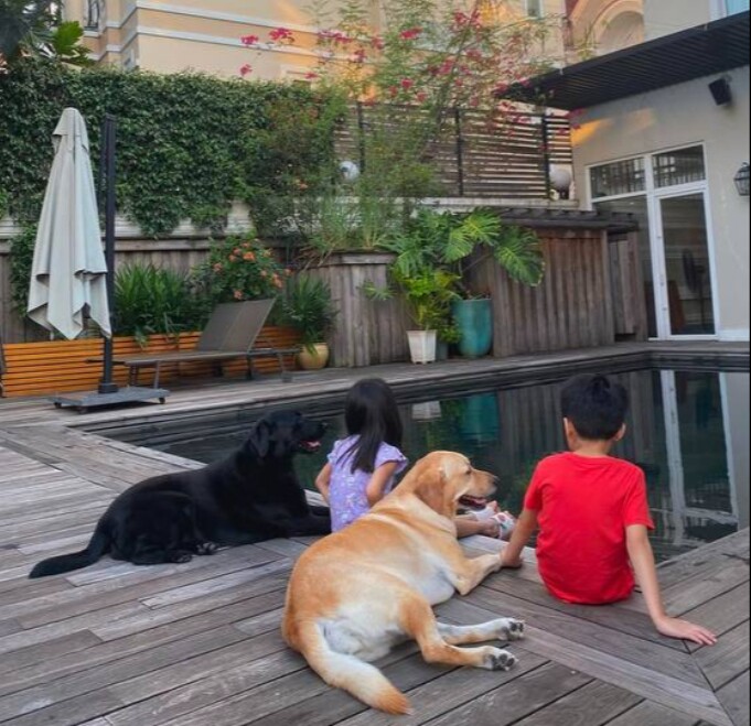 Tăng Thanh Hà bật khóc tạm biệt chú chó cưng sau 13 năm nuôi dưỡng, Lệ Quyên gửi lời chia buồn 9 Molly và April không chỉ là thú cưng, mà còn là thành viên đặc biệt trong gia đình Tăng Thanh Hà.