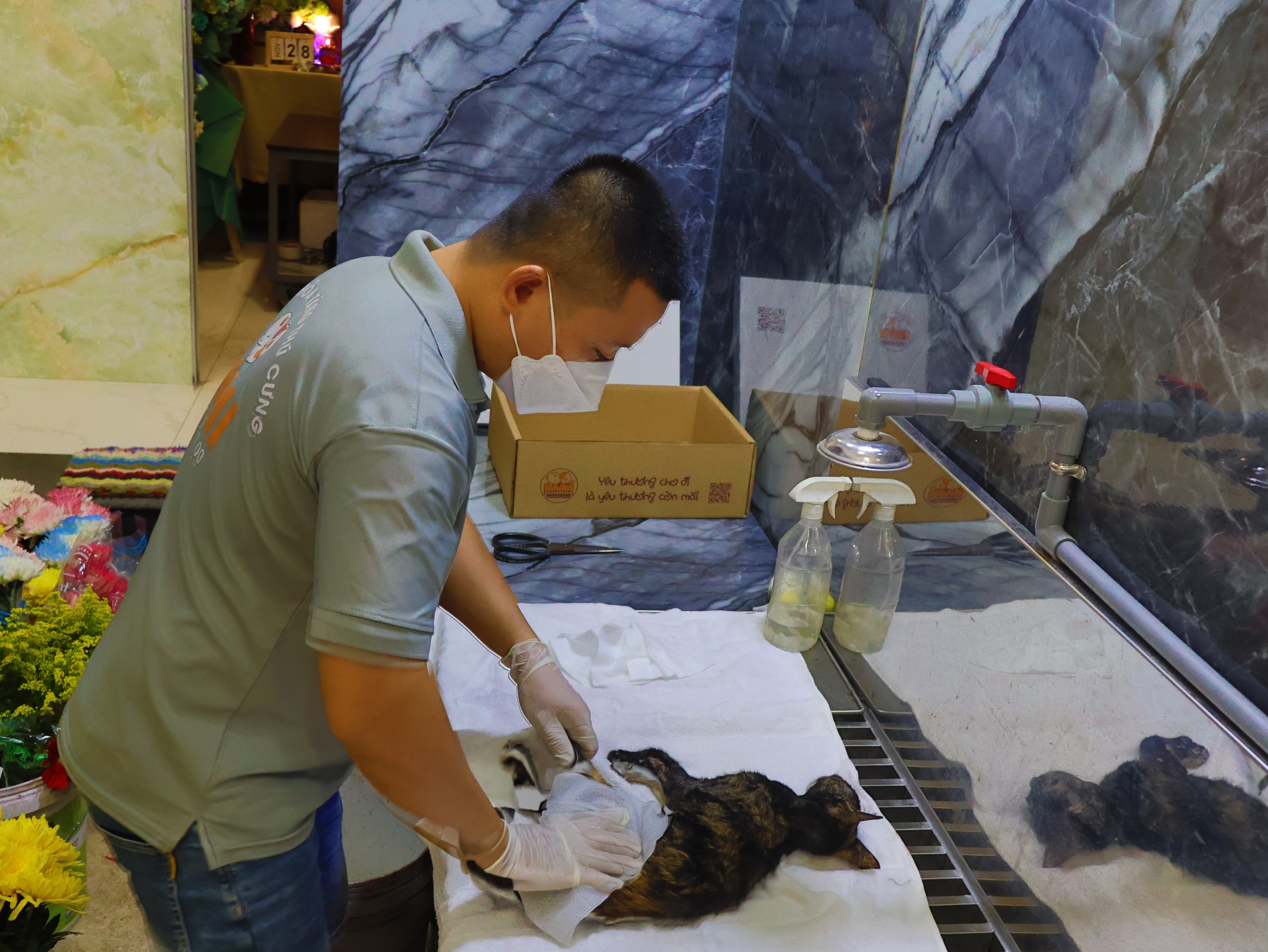 Hỏa táng thú cưng: Ngày đầu vào Bình Hưng Hòa 'hơi sợ sợ'- Ảnh 2. Hỏa táng thú cưng: Ngày đầu vào Bình Hưng Hòa 'hơi sợ sợ'- Ảnh 2.