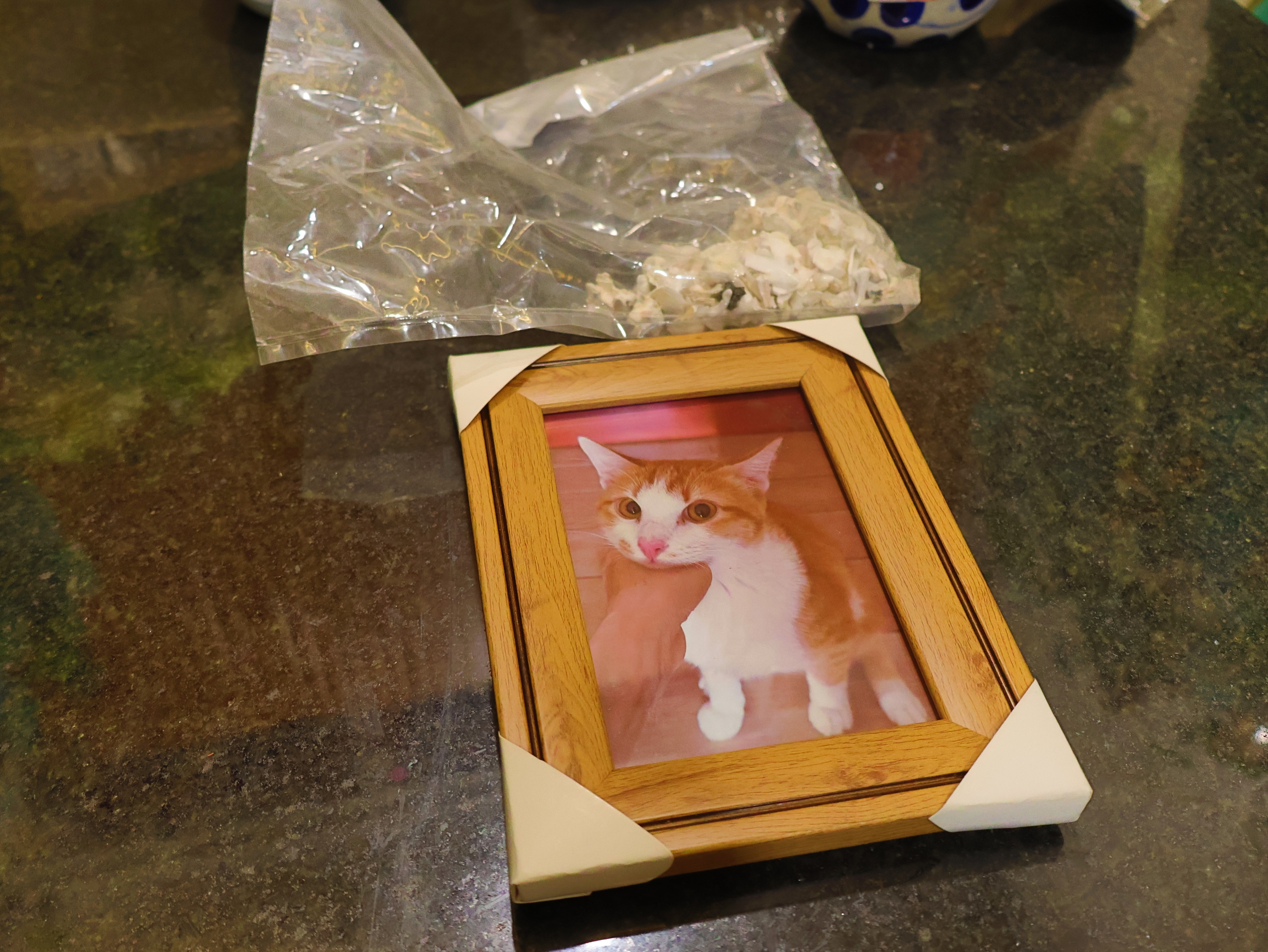 Hỏa táng thú cưng: Ngày đầu vào Bình Hưng Hòa 'hơi sợ sợ'- Ảnh 5. Hỏa táng thú cưng: Ngày đầu vào Bình Hưng Hòa 'hơi sợ sợ'- Ảnh 5.