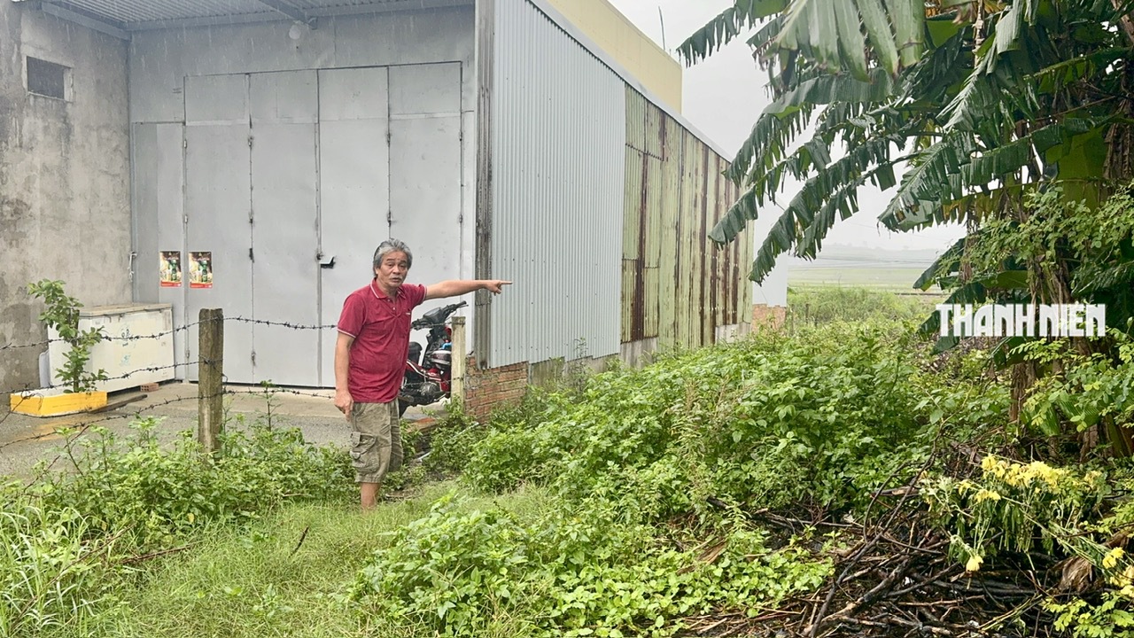 Vụ trúng đấu giá nhưng 18 năm không thấy đất: Những người liên quan nói gì?- Ảnh 3. Vụ trúng đấu giá nhưng 18 năm không thấy đất: Những người liên quan nói gì?- Ảnh 3.