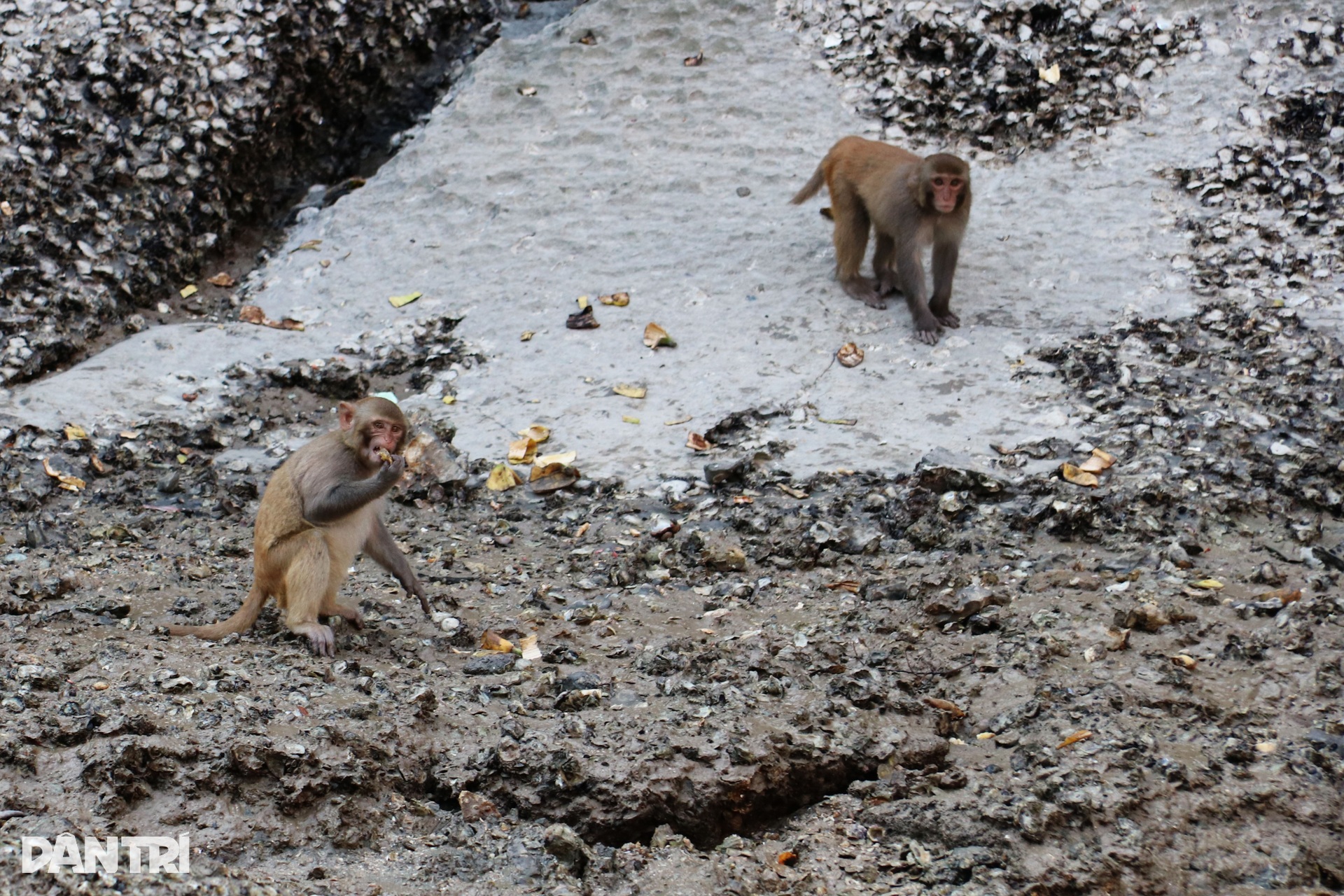 Chèo thuyền kayak qua Hang Luồn - điểm đến bí ẩn, hoang sơ ở Hạ Long - 10 Chèo thuyền kayak qua Hang Luồn - điểm đến bí ẩn, hoang sơ ở Hạ Long - 10