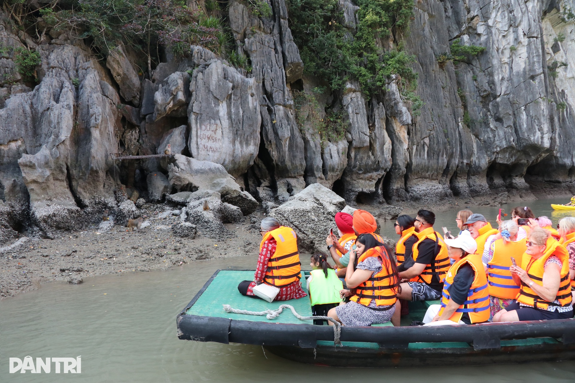 Chèo thuyền kayak qua Hang Luồn - điểm đến bí ẩn, hoang sơ ở Hạ Long - 11 Chèo thuyền kayak qua Hang Luồn - điểm đến bí ẩn, hoang sơ ở Hạ Long - 11