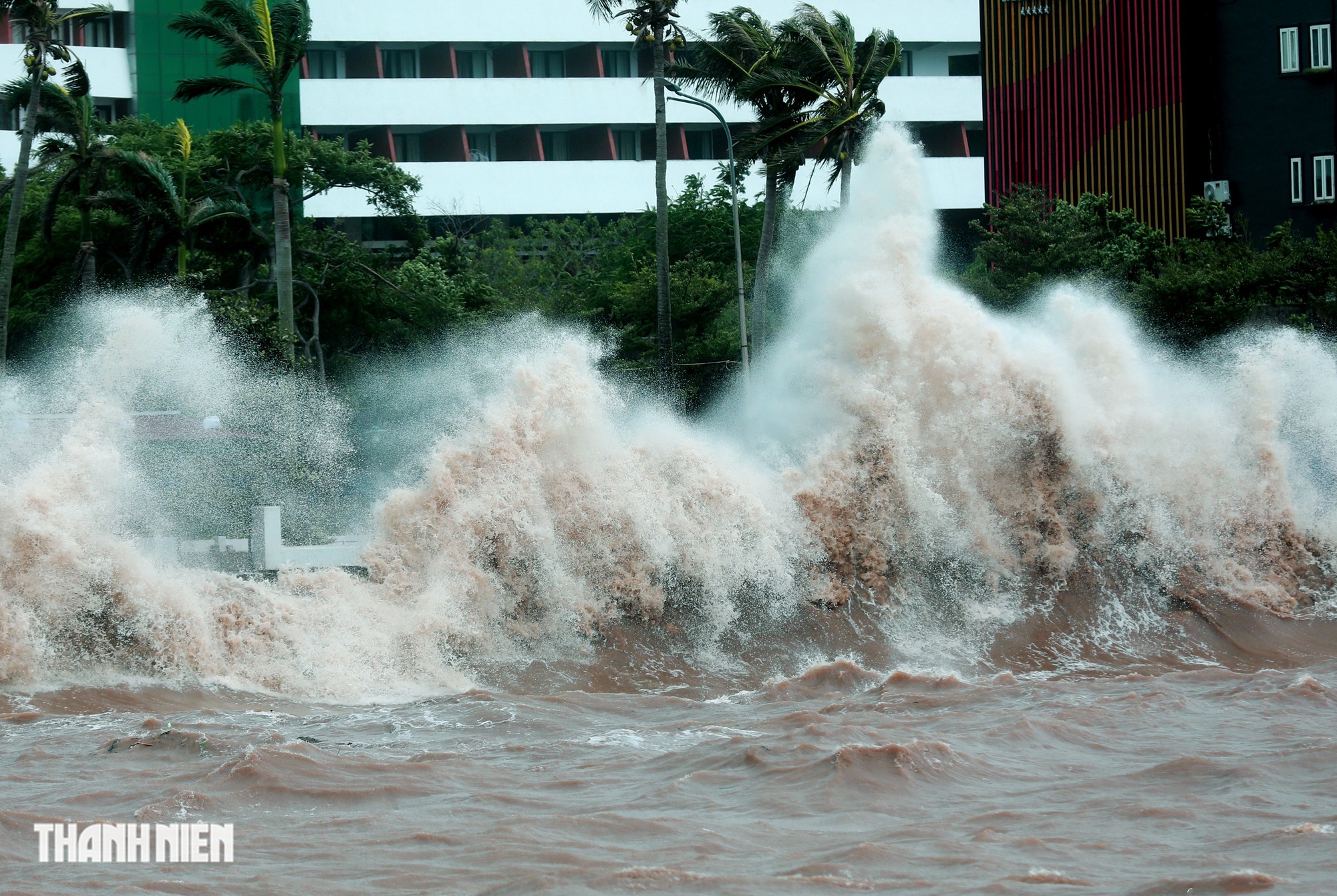 - Ảnh 15. - Ảnh 15.