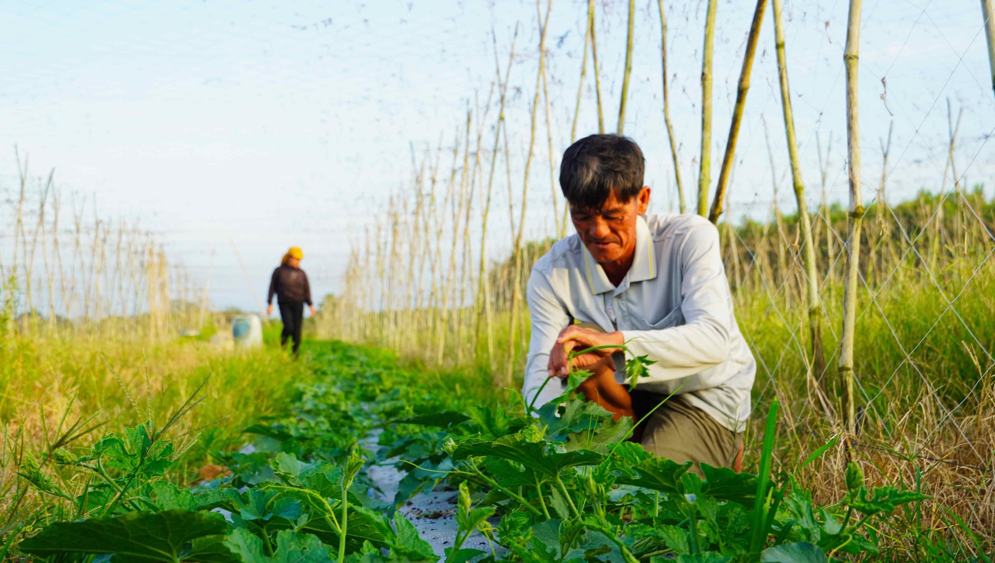 Giảm nghèo bền vững từ những chính sách thiết thực 2 Giảm nghèo bền vững từ những chính sách đi vào cuộc sống - Ảnh 2.