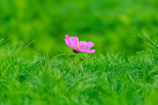 Người thực sự khôn ngoan không bao giờ khoe khoang 2 điều, kẻ nông cạn lại thường rêu rao khắp nơi - 2