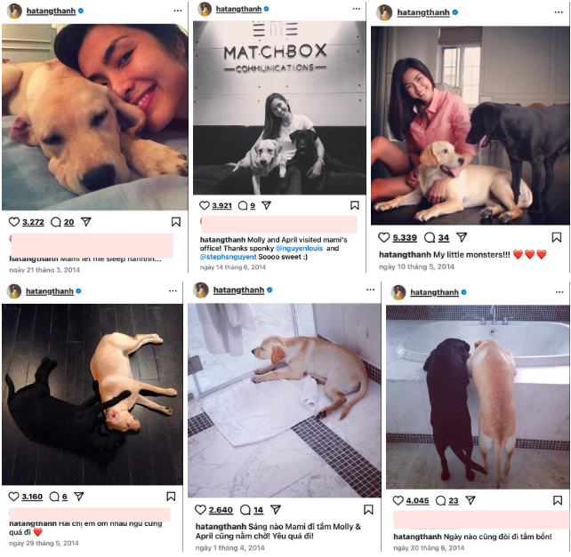 Khoảnh khắc đặc biệt của Tăng Thanh Hà và Molly trong hành trình 12 năm bên nhau - Ảnh 2.