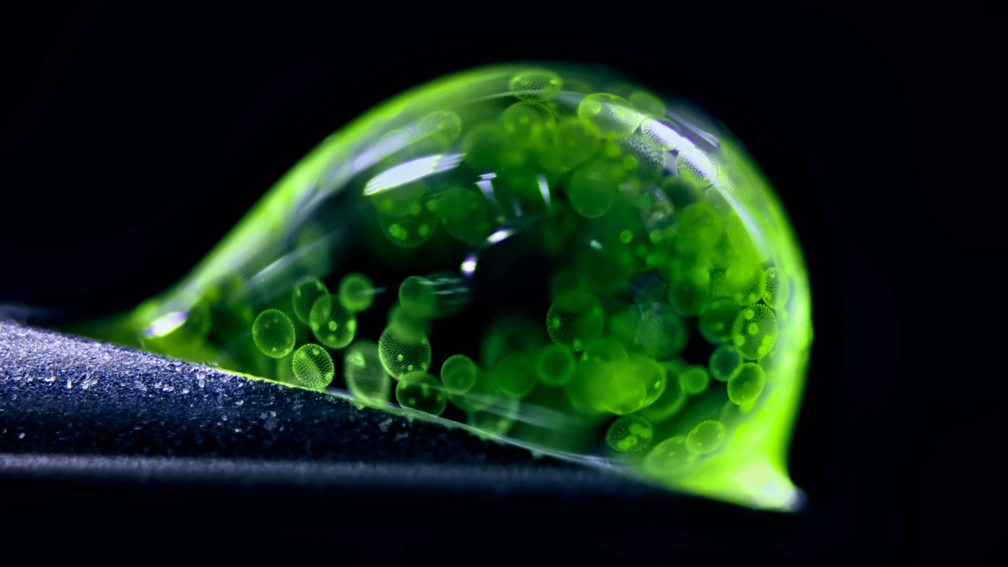 ảnh khoa học - Ảnh 2.