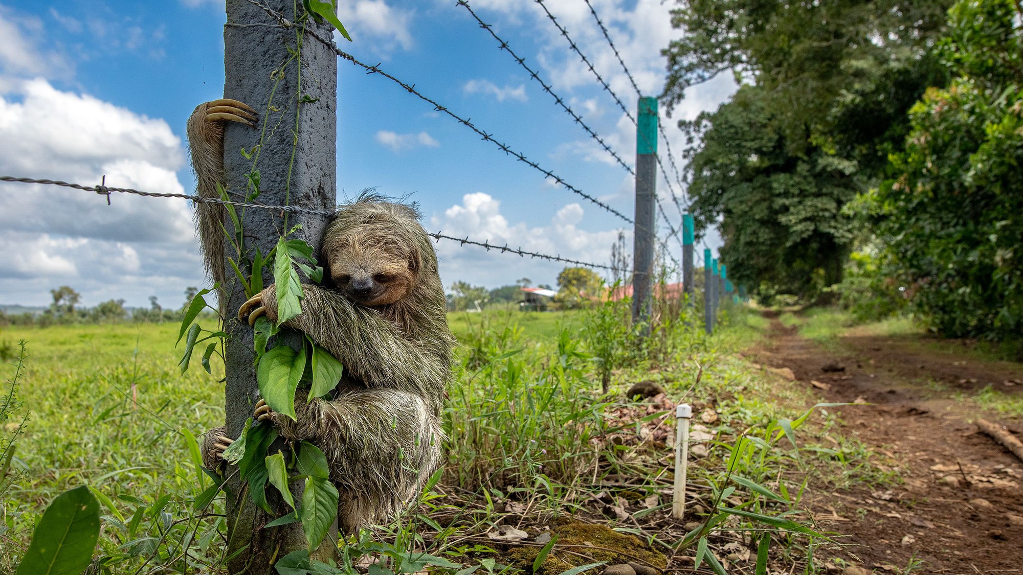 ảnh khoa học - Ảnh 10.