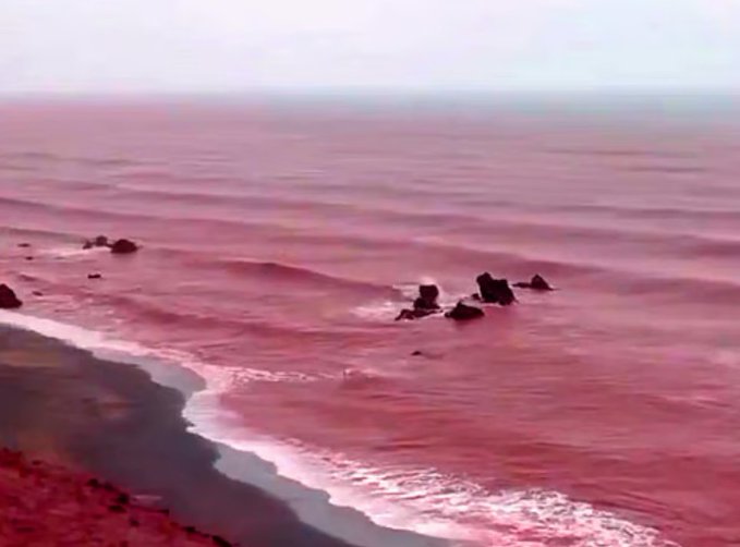 1766129426 678 Mua mau nhuom do ca bai bien nguoi dan so