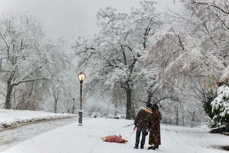 New York như xứ thần tiên trong tận tuyết đầu mùa 7 New York như 'xứ thần tiên' trong tận tuyết đầu mùa - 6