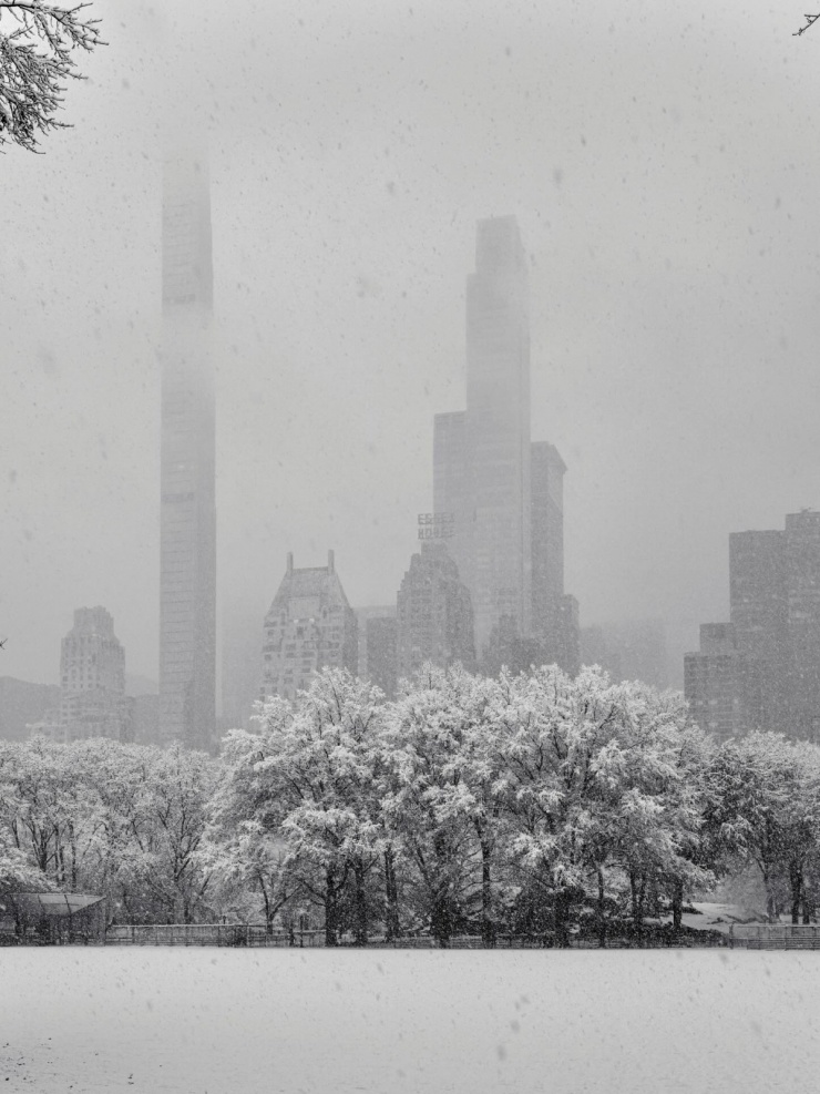 New York như xứ thần tiên trong tận tuyết đầu mùa 8 New York như 'xứ thần tiên' trong tận tuyết đầu mùa - 7