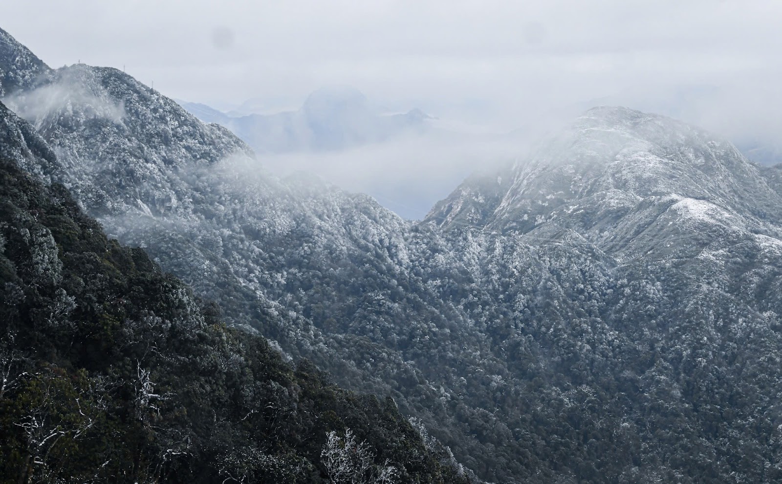 Cảnh tượng tuyết phủ trắng nóc nhà, lối đi ở Fansipan đầu năm nay: Dân tình càng hừng hực khí thế đi 