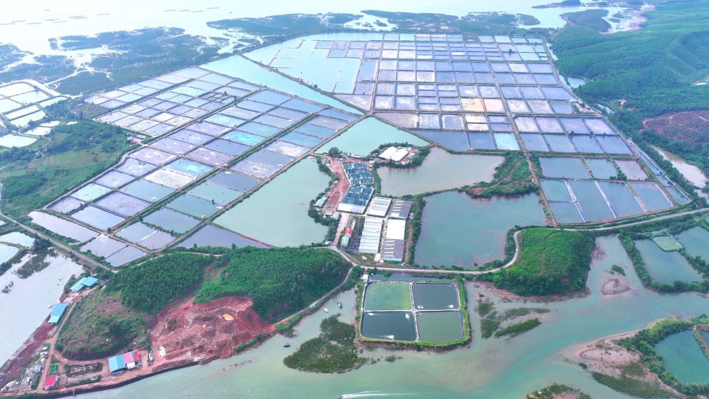 Tập đoàn BIM khởi công 3 dự án lớn tại Quảng Ninh với tổng đầu tư gần 10 . 500 Tỉ đồng - Ảnh 3.