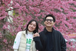 Hoa tớ dày nhuộm hồng Mù Cang Chải