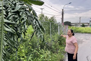 Dự án treo 18 năm, cử tri TP.HCM yêu cầu giám sát đến cùng