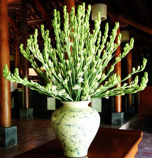 Mùng 1 cúng 5 loài hoa này: Bề trên hài lòng, hanh thông cả tháng- Ảnh 2.