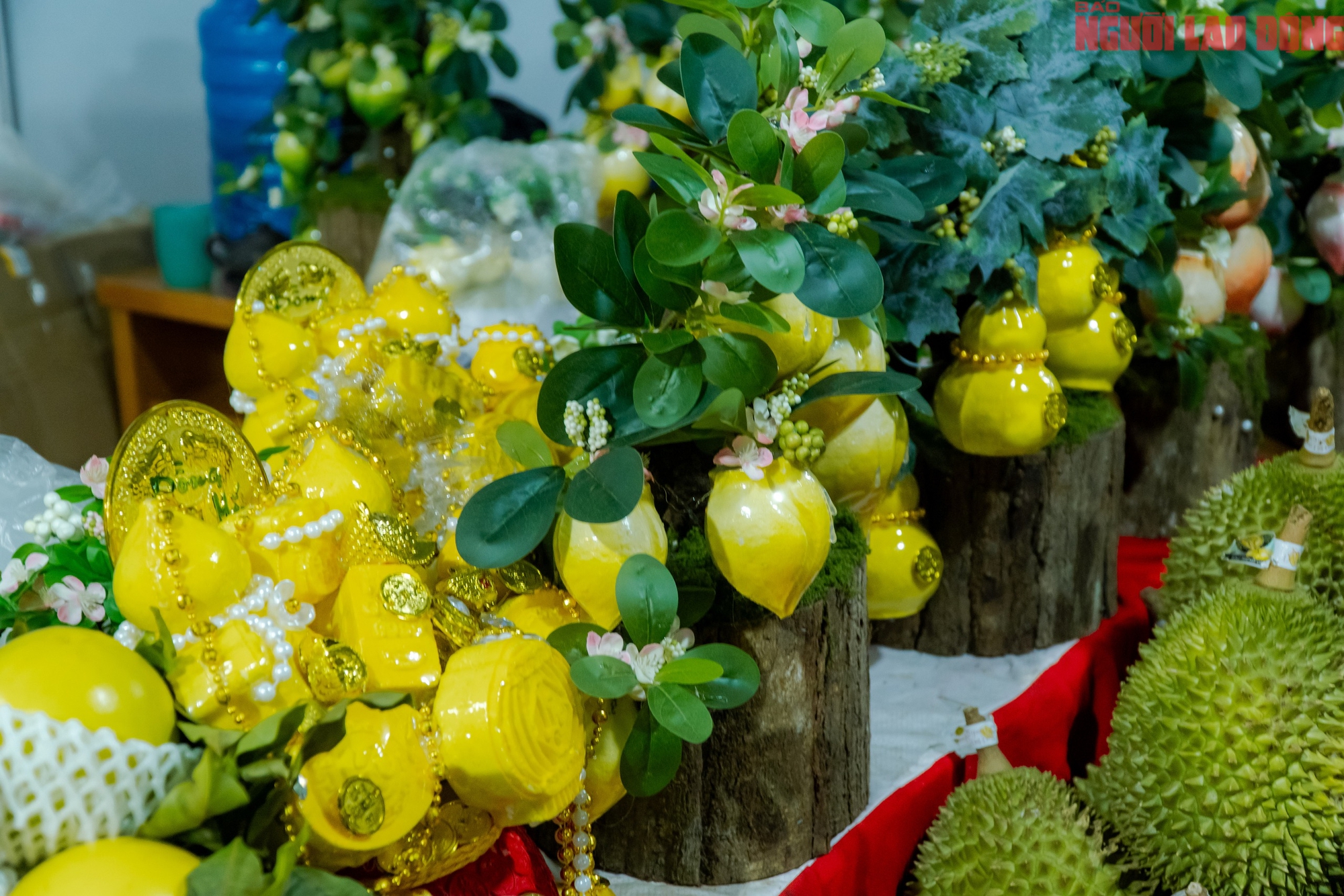 VIDEO: Bưởi tiến vua, na mùi sầu riêng, chuối bàn tay Phật giá dưới 1 triệu “đổ bộ” TPHCM dịp Tết 2026 - Ảnh 9.