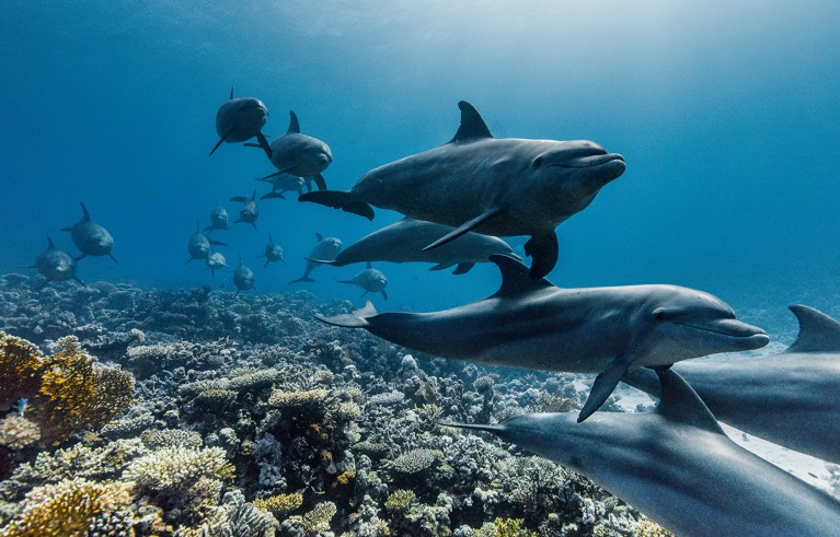 khoa học - Ảnh 3.