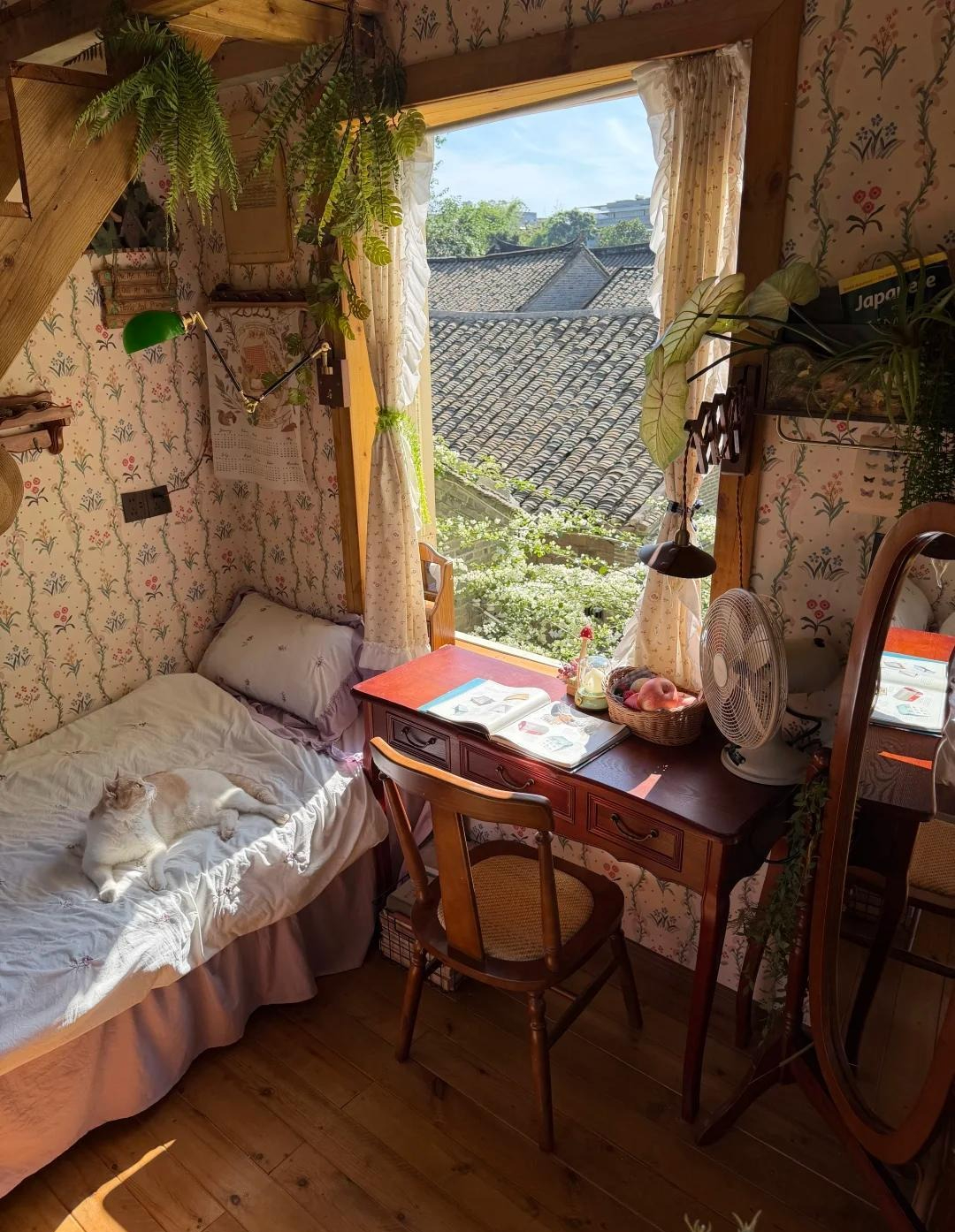 Cụ bà 70 tuổi thầm lặng sống trong căn nhà nhỏ: Tự chăm sóc bản thân, không làm gánh nặng cho con cháu- Ảnh 2. Cụ bà 70 tuổi thầm lặng sống trong căn nhà nhỏ: Tự chăm sóc bản thân, không làm gánh nặng cho con cháu- Ảnh 2.